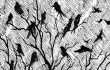 MURMURS - Fly With The Unkindness CS coming this April