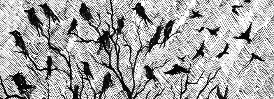 MURMURS - Fly With The Unkindness CS coming this April